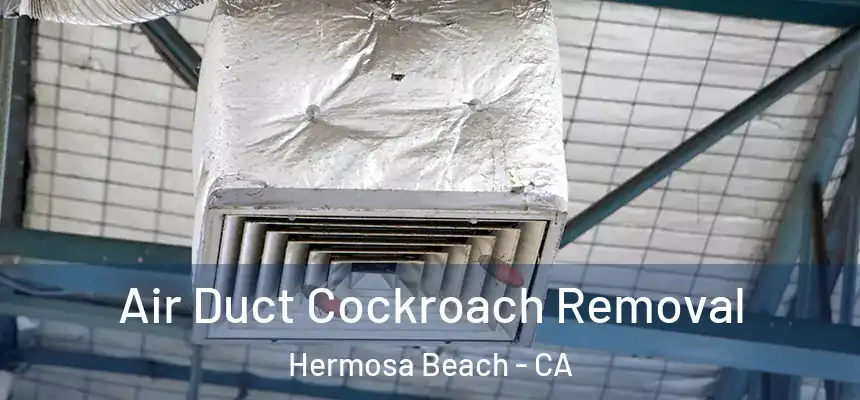 Air Duct Cockroach Removal Hermosa Beach - CA