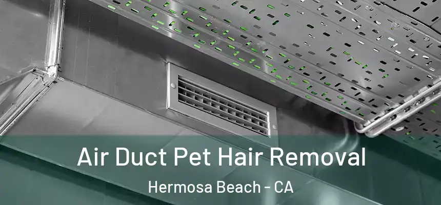  Air Duct Pet Hair Removal Hermosa Beach - CA