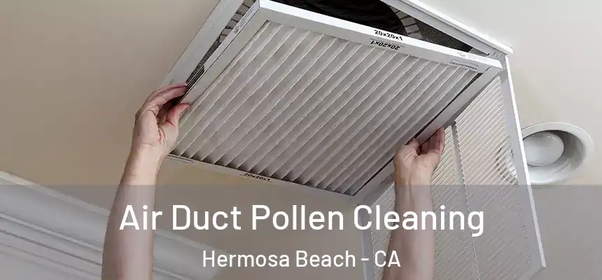  Air Duct Pollen Cleaning Hermosa Beach - CA