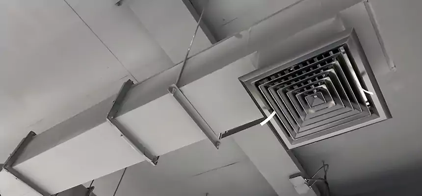 Our Rodent Droppings In Vents Services in Hermosa Beach, CA