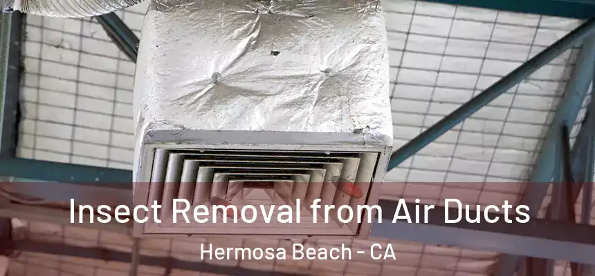  Insect Removal from Air Ducts Hermosa Beach - CA