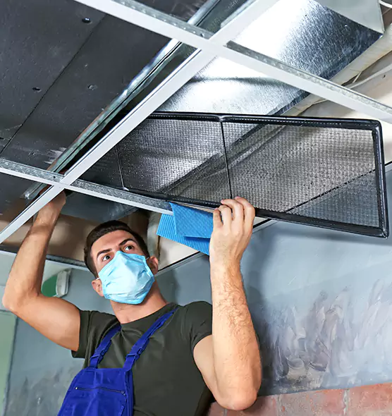 About Air Duct Bacteria Removal in Hermosa Beach