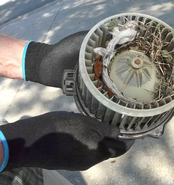 About Air Duct Mice Removal in Hermosa Beach, CA