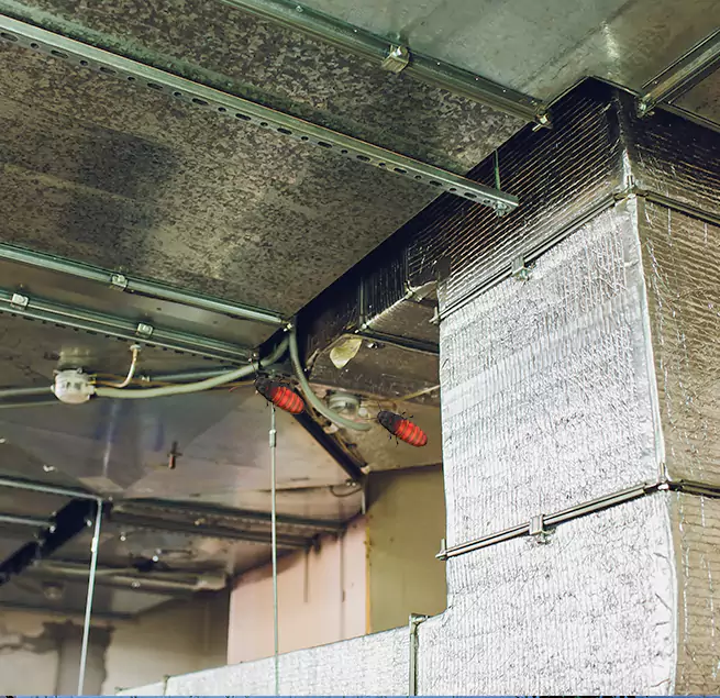 Why Homeowners & Businesses Trust Us in Hermosa Beach, CA?