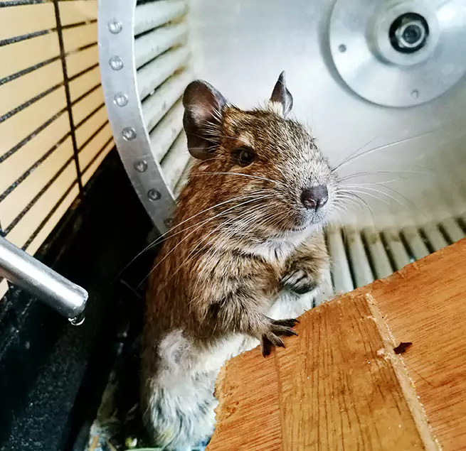 Why Homeowners & Businesses Trust Us Hermosa Beach, CA?